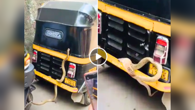 Snake Viral Video: सांप को मुंबई घूमना है... बदलापुर रेलवे स्टेशन पर ऑटो के पीछे फन फैलाकर बैठा दिखा किंग कोबरा, वीडियो वायरल