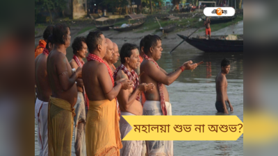 Mahalaya 2023: মহালয়ার সঙ্গে দুর্গাপুজোর কী যোগ? কলমে নৃসিংহপ্রসাদ ভাদুড়ি