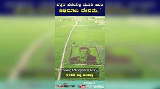 ಭತ್ತದ ಬೆಳೆಯಲ್ಲಿ ಮೂಡಿ ಬಂದ ಅಭಿಮಾನಿ ದೇವರು ಅಪ್ಪು..!