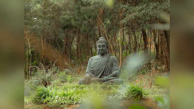 Goutam Buddha: এভাবেই কথা বলে গাছেরা! প্রকৃতির ভাষা আমাদের চিনতে শিখিয়েছেন গৌতম বুদ্ধ