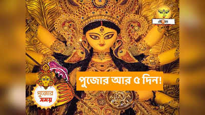 Kolkata Durga Puja Pandal 2023 : হাতে আর পাঁচদিন! রবিবারই পুজোর ভিড়ে খেল দেখাল কলকাতা