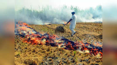 Haryana Stubble Burning: सेटेलाइट की पकड़ में आए पराली जलाने वाले 3 किसान, वसूला गया पर्यावरण क्षतिपूर्ति चार्ज