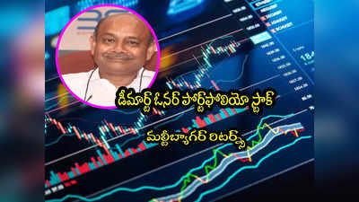 Multibagger: డీమార్ట్ ఓనర్ కొన్న స్టాక్.. ఒక్క నెలలో 20 శాతం జంప్.. ఇన్వెస్టర్లకు కాసుల వర్షం!