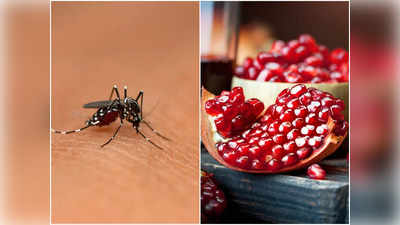 Dengue Recovery Foods: ডেঙ্গিতে ভুগছে সন্তান? তাহলে তাকে দ্রুত সুস্থ করে তুলতে এই ৫ খাবার অবশ্যই খাওয়ান!