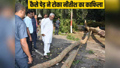 Nitish Kumar News: जब पेड़ ने रोक दिया सीएम नीतीश का काफिला, पैदल ही पहुंचे सचिवालय देखिए तस्वीरें