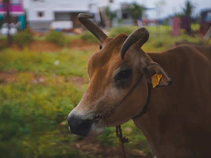 ​ಉತ್ತಮ ಆರೋಗ್ಯಕ್ಕಾಗಿ​