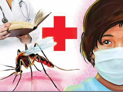 मुंबईकरांनो काळजी घ्या; शहरात मलेरिया, डेंग्यूचा ताप वाढता, प्रतिबंधासाठी मार्गदर्शक सूचना