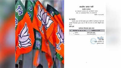 Chhattisgarh BJP 3rd Candidate List: छत्तीसगढ़ में बीजेपी की तीसरी सूची आई, पंडरिया से भावना बोहरा को बनाया उम्मीदवार