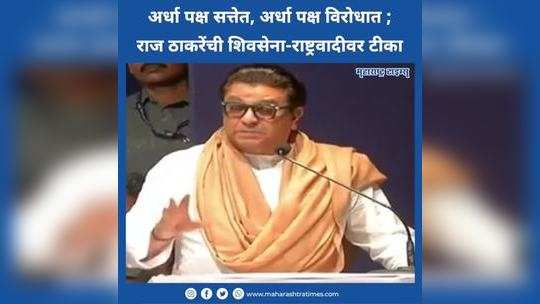 raj thackeray on thackeray group shiv sena ncp