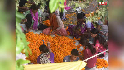 MP Chunav: गुलाब के साथ गेंदे की बढ़े गए भाव...एमपी में किल्लत हुई तो महाराष्ट्र से मंगाने पड़ रहे फूल