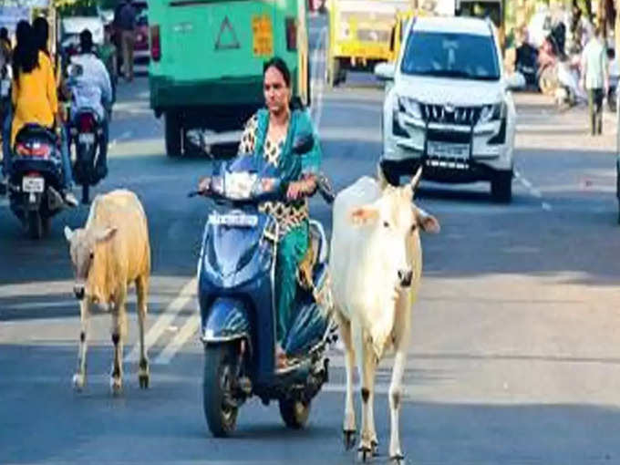 அதிகாரிகள் ஆய்வு