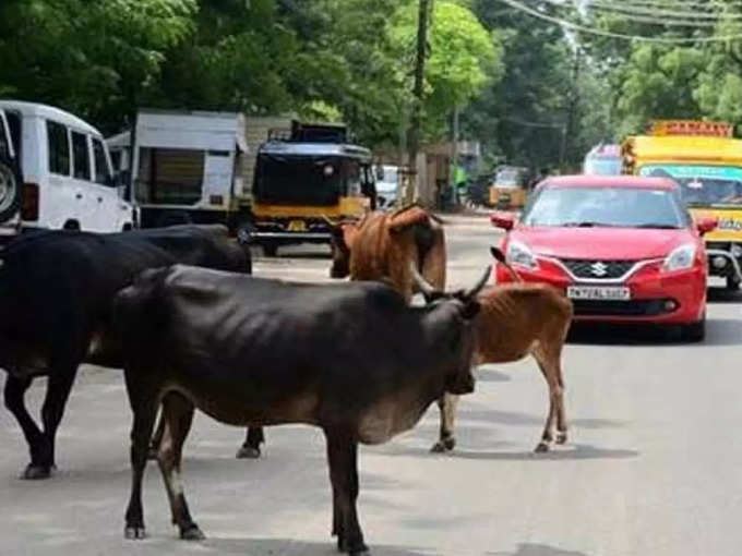 அபராதம் 