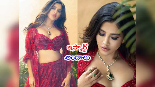 Nabha Natesh: నభా.. ఏమున్నావ్ అబ్బా.. ఇస్మార్ట్ పోరి లేటెస్ట్ పిక్స్ 