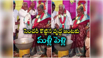 వందేళ్లు పూర్తి చేసుకున్న వృద్ధ జంటకు మళ్లీ పెళ్లి.. మునిమనవళ్ల సాక్షిగా సంబురం