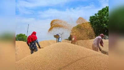 पूर्वी यूपी में पहली नवंबर से धान खरीद, धान बिक्री के लिए तीन लाख से अधिक किसानों ने कराया पंजीकरण