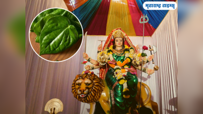 कात्यायनी देवीला प्रिय आहे हे पान; या गोष्टी केल्याने देवी होईल प्रसन्न, आर्थिक चणचण होईल दूर