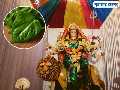 कात्यायनी देवीला प्रिय आहे हे पान; या गोष्टी केल्याने देवी होईल प्रसन्न, आर्थिक चणचण होईल दूर