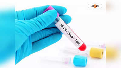 Nipah Virus : কেরালায় বাদুর থেকে ছড়িয়েছিল নিপা ভাইরাস, জানাল ICMR