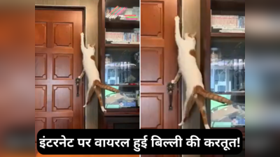 Viral Video: बिल्ली की दरवाजा खोलने की Skills देखकर लोग हैरान, बोले- इसमें आइंस्टाइन की आत्मा है!