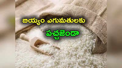 Rice Exports: బియ్యం ఎగుమతులకు కేంద్రం గ్రీన్ సిగ్నల్.. 7 దేశాలకు 10 లక్షల టన్నులు