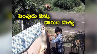 Pet Dog: కుక్కకు ఉరివేసి చంపారు.. డాగ్ ట్రైనింగ్ సెంటర్‌లోనే ఘటన.. వీడియో వైరల్