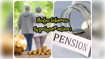 Govt Schemes: వృద్ధాప్యంలో ఆర్థిక భరోసా.. కేంద్ర ప్రభుత్వ పెన్షన్ పథకాలు ఇవే.. ఇప్పుడే చేరండి!