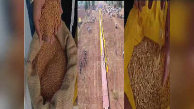 Jalna News: मनोज जरांगेंच्या सभेसाठी सोन्यासारखं पीक उपटून टाकणाऱ्या शेतकऱ्यांना मराठा बांधवांची खास भेट