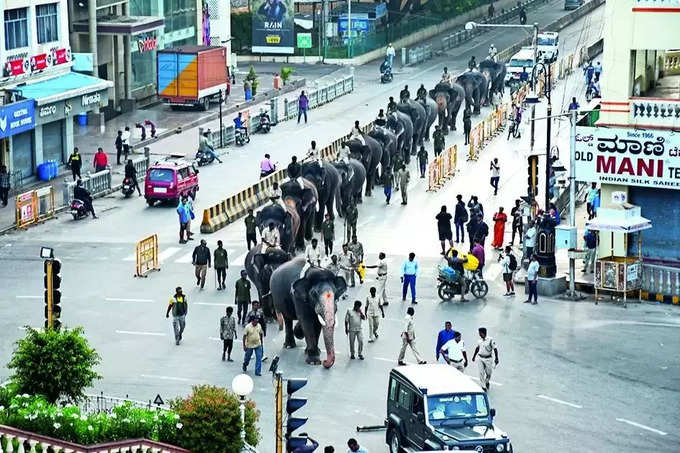 dasara elephants