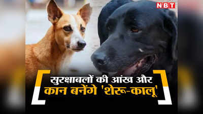 Indian Dog Breeds News: जर्मन शेफर्ड, लैब्राडोर नहीं, अपना शेरू और कालू बनेंगे भारतीय सुरक्षाबलों की आंख-कान, तैयारी जारी