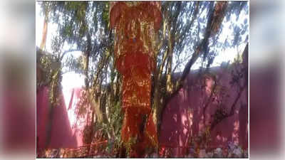 बिहार: नवरात्रि में शक्ति के रूप में होती है यहां पेड़ की पूजा, आखिर ऐसा क्यों होता है, जानें
