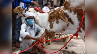 नेपाल के राजदेवी मंदिर में दी गई 15000 बकरों की बलि, ज्यादातर भारतीय श्रद्धालु लाए साथ