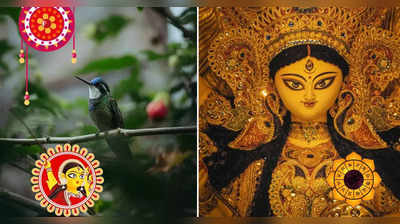 Durga Puja 2023: আজ কৈলাশে ফিরছেন উমা, মহাদেবকে সেই খবর দিতেই ওড়ানো হয় নীলকণ্ঠ পাখি!