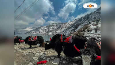 Sikkim Tourism : কবে থেকে আবার যাওয়া যাবে নর্থ সিকিম? রইল আপডেট