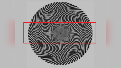 Optical Illusion Image: चीते की रफ्तार से दौड़ता है दिमाग, तो आप 7 सेकंड में बता देंगे इस फोटो में छिपे सभी नंबर!