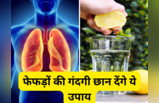 Delhi Air Pollution: फेफड़ों में जहर भर देगी दिल्ली की दमघोंटू हवा, Lungs की गंदगी छान देंगे ये 5 तरीके