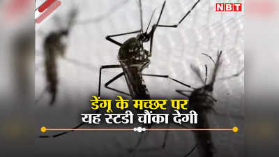 मुश्किल हालात में भी जिंदा रह लेते हैं... स्टडी ने बताया कितने ढीठ होते हैं डेंगू के मच्छर
