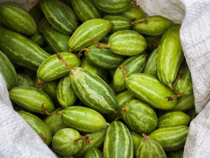 pointed gourd parwal