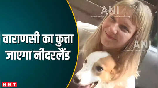 वाराणसी से नीदरलैंड की उड़ान को तैयार स्ट्रीट डॉग, महिला ने लिया है गोद