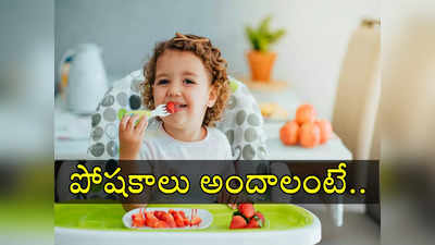 Kids Diet: మీ చిన్నారికి అన్ని పోషకాలు అందాలంటే.. ఈ స్ట్రాటజీ ఫాలో అవ్వండి