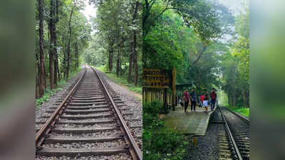 Shoranur Nilambur Rail Route Tree Cutting: ഷൊർണൂർ - നിലമ്പൂർ പാതയിലെ 5000 മരങ്ങൾ മുറിച്ചുമാറ്റുന്നു; മേലാറ്റൂരിലെ പൂവാകയും പോകും, മനോഹര കാഴ്ചകൾ ഇനിയില്ല