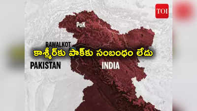 Pakistan: జమ్మూ కాశ్మీర్‌కు పాక్‌కు సంబంధం లేదు.. బ్రిటన్ పార్లమెంట్‌లో పీఓకే ప్రొఫెసర్ స్పష్టం
