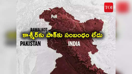 Pakistan: జమ్మూ కాశ్మీర్‌కు పాక్‌కు సంబంధం లేదు.. బ్రిటన్ పార్లమెంట్‌లో పీఓకే ప్రొఫెసర్ స్పష్టం 