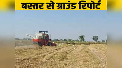 Chhattisgarh Ground Report: किसान और धान, छत्तीसगढ़ चुनाव में किसकी लगाएंगे नैया पार
