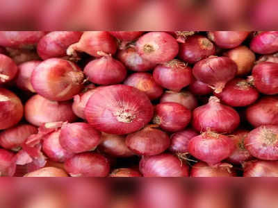 शेतकऱ्यांना अल्पदिलासा! आवक मंदावल्याने कांदा खातोय भाव, प्रतिक्विंटल ३०० ते ८०० रुपयांनी वाढ