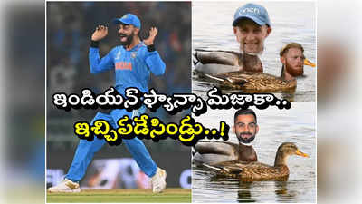 విరాట్ కోహ్లి డకౌట్‌కు రివెంజ్.. మామూలుగా లేదుగా!