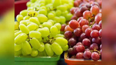 हंगामाआधीच पुण्यात द्राक्षे दाखल; नेहमीच्या तुलनेत दुप्पट दराने विक्री, किलोला किती भाव?