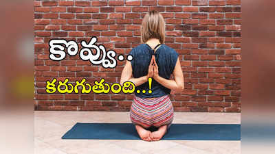 Back body fat: వీపు భాగంలో కొవ్వు కరిగించే.. యోగాసనాలు ఇవే..!