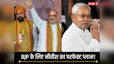 बिहार में BJP पर आरक्षण से वार की तैयारी में नीतीश सरकार, हार मिले या जीत, विपक्ष के दोनों हाथ में लड्डू