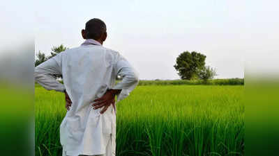 बिजनौर के साढ़े 22 हजार किसानों पर उदासीनता पड़ी भारी, पीएम किसान सम्मान निधि की किश्त अटकी, रह जाएंगे वंचित