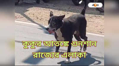 Stray Dog : খাঁ খাঁ করছে গোটা পাড়া, ভয়ে কাঁটা বসিরহাট! কুকুর আতঙ্কে দিশেহারা এলাকাবাসী